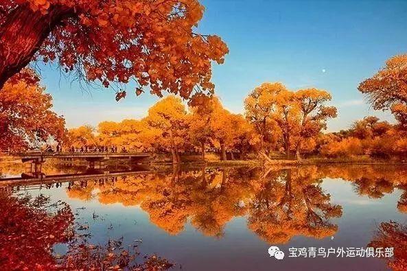被忽略的火场杀手——浓烟！